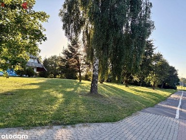 Biała Niżna, Grybów, nowosądecki, małopolskie