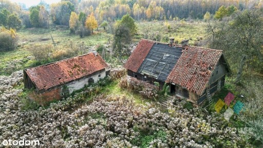 Gospodarstwo siedliskowe, 11 ha, Butryny, Warmia