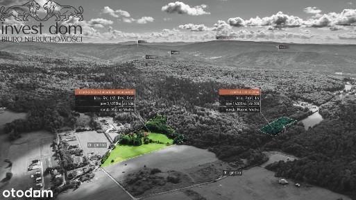 Wyjątkowa willa z 5-hektarową posiadłością pod las