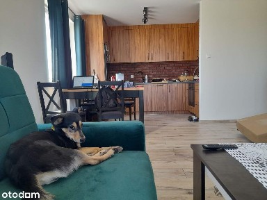 Mieszkanie własnościowe plus piwnica i garaż | Pomorska | Nowe bloki