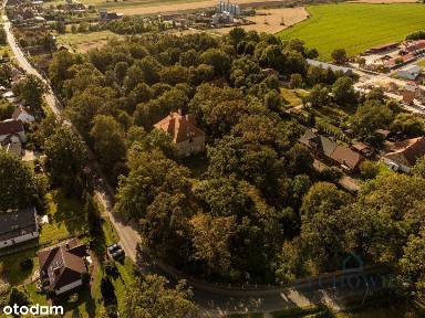 Zabytkowy pałac z parkiem - Wilków, woj. Opolskie