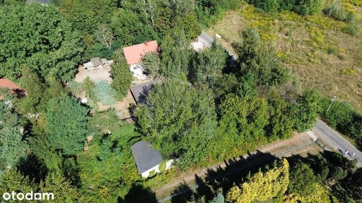 Grodzisk Mazowiecki, grodziski, mazowieckie