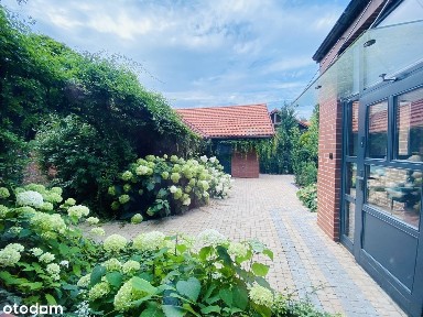 Dolaszewo, Szydłowo, pilski, wielkopolskie