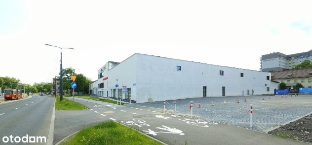 Wynajem lokali użytkowych - Centrum 100 - 700 m2