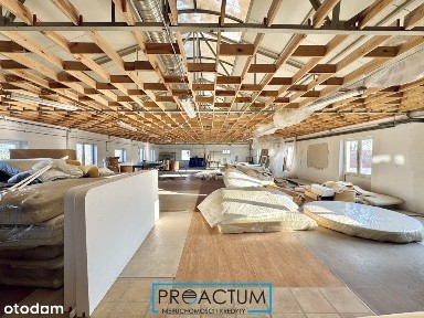 Papowo Toruńskie, Łysomice, toruński, kujawsko-pomorskie