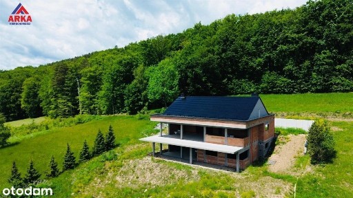 Las za plecami | Widok na Tatry