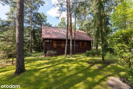 Dom drewniany 61m2 na zalesionej działce