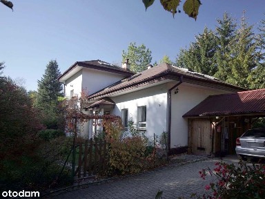 Blisko Zalesia Górnego, okolice Lasu Chojnowskiego