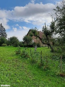 Sprzedam stare siedlisko (brak sąsiadów)