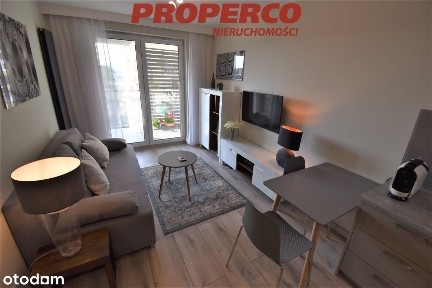 Mieszkanie 2pok., 35,39 m2, Centrum, Panoramiczna