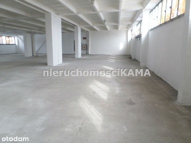 Hala/Magazyn, 438 m², Bielsko-Biała