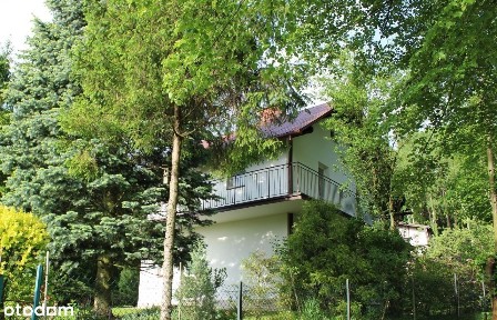 Kędzierzynka (gm Dobczyce) dom w sąsiedztwie lasu.
