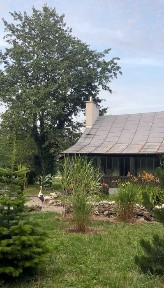 Na sprzedaż domek z dużą działką i sadem - Kostków, Podkarpacie