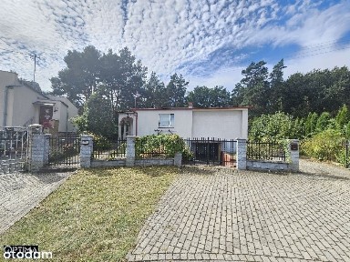 Dwa domy na jednej działce! Dookoła las! Okazja!