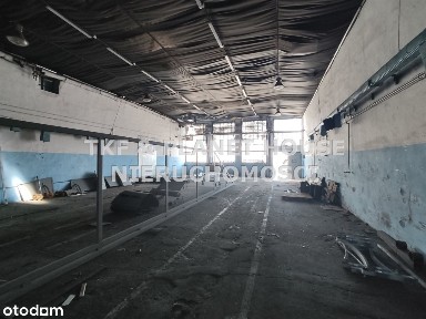 Hala na wyjanem 270m2 Braci Kobylańskich/Drzewica