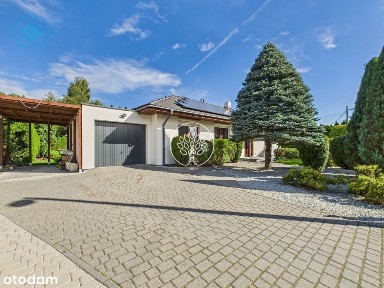 Parterowy dom w Brzozie