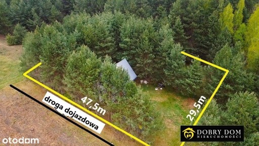 ***Nowa Cena***W Enklawie Lasu***