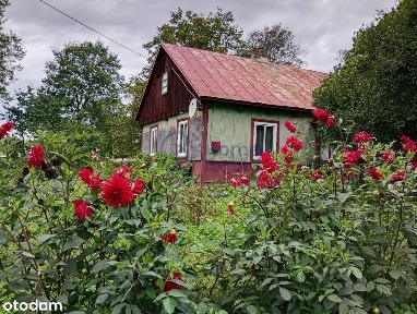 Dom z gospodarstwem | 7,2ha | Studzienice