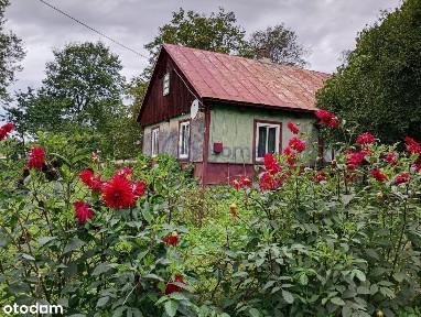 Dom z potencjałem | 7,2ha | Studzienice