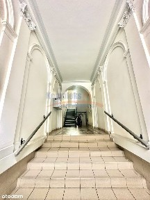 Idealne na salon, biuro lub gabinet lekarski!