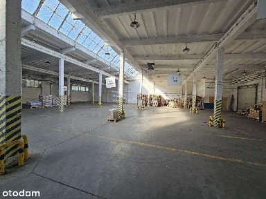 ul. Poznańska, Legnica, dolnośląskie