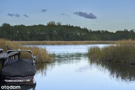 Obiekt na Mazurach z linią brzegową jeziora Roś