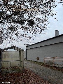 Lokal usługowy z potencjałem!
