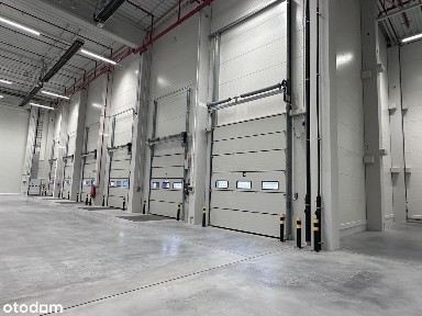 Magazyn od zaraz/Gdańsk -Przejazdowo/ 5 500 m2