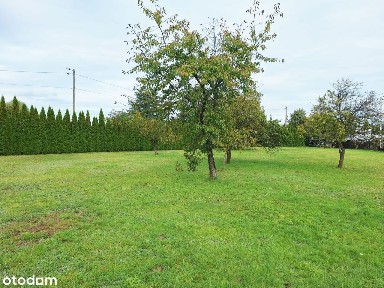 Alwernia, chrzanowski, małopolskie