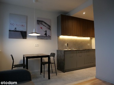 Rokietnica 2-pokojowe bezpośrednio wynajmę.