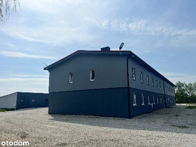 Wynajem Mieszkanie 50mkPrzecław