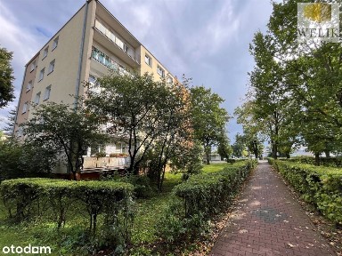 Mieszkanie, 34,80 m², Biała Podlaska