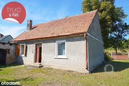 Dom z budynkami gospodarczymi, duża działka