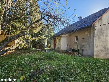 Dom wolnostojący 95 m2 działka 8ar/ Duża stodoła/ Sprzedaż/ZAMIANA