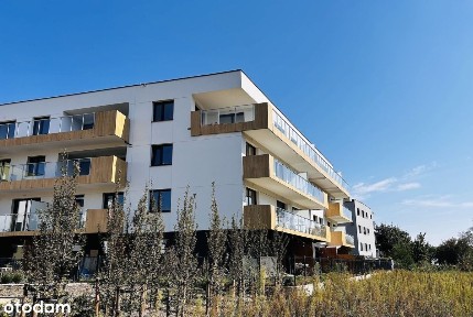 ul. Ziębicka, Junikowo, Grunwald, Poznań, wielkopolskie