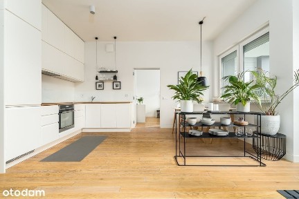 ul. Majora Władysława Raginisa, Śródmieście-Północ, Śródmieście, Szczecin, zachodniopomorskie