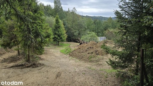 Dzialki z Domami w Beskidach, Kamesznica,Milowka