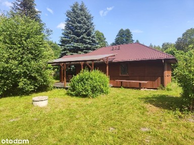 Działka pod lasem z domkiem letniskowym - Jesionka Żyrardów