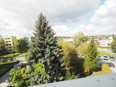 Mieszkanie 44 m2 3 piętro Wynajem ul. Zachodnia