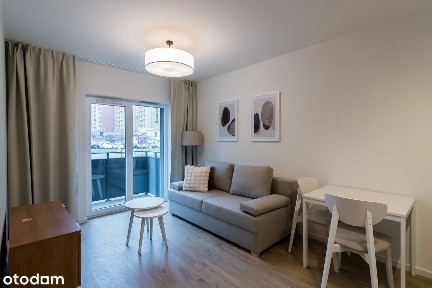 3-pokojowe - Bezpośrednio - Dostępne od Zaraz - Pets Friendly