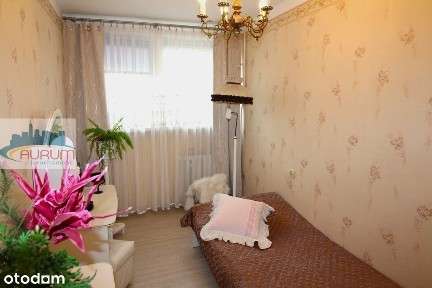 Żary, żarski, lubuskie