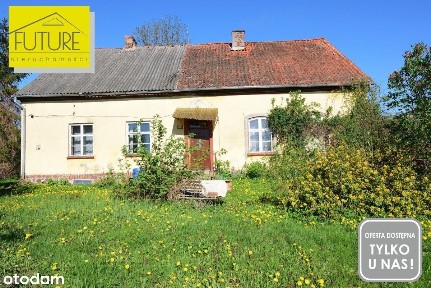 Pół domu w Drużnie