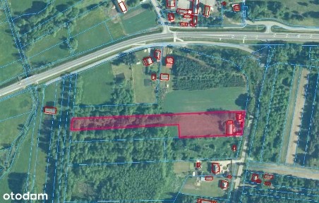 Dom mieszkalny w siedlisku wraz dużym terenem 1,51 ha doskonały dojazd