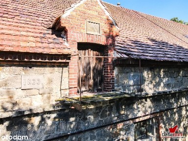 Dom, 500 m², Zagrodno