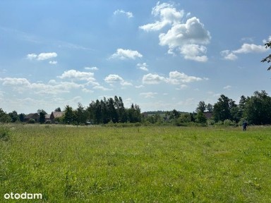 Pisarzowice, Lubań, lubański, dolnośląskie