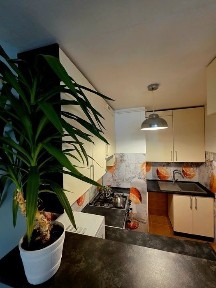 Sprzedam mieszkanie 2 pokoje, parter, 38 metrów