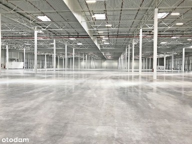 blisko wjazdu na A1, Olechów, Widzew, Łódź, łódzkie