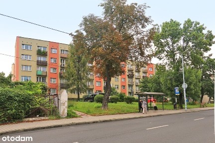 3 pokoje przy Parku Śląskim, blisko centrum