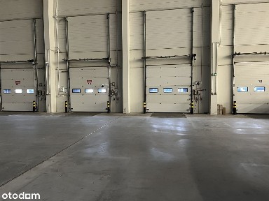 Piotrków Trybunalski, łódzkie