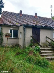 Dom otulony lasem w spokojnej okolicy